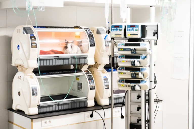 Inkubatory z pacjentami i pompy infuzyjne na oddziale szpitalnym Kliniki VETKA